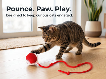 Interactive rolling Pet Ball