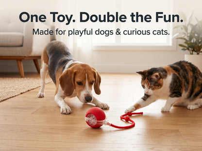 Interactive rolling Pet Ball