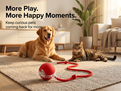 Interactive rolling Pet Ball