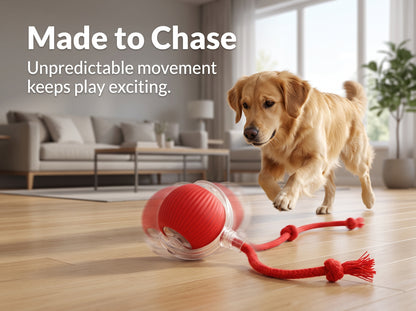 Interactive rolling Pet Ball