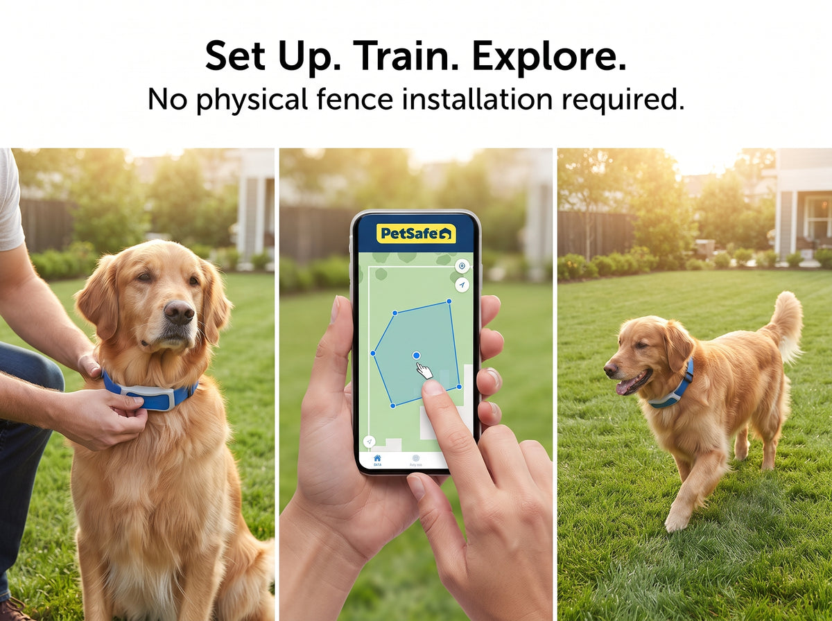 Guardian GPS + Tracking Dog Fence Collar