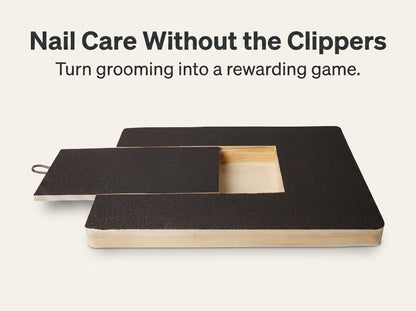 Dog Nail Scratch Board with Treat Compartment