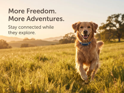 Guardian GPS + Tracking Dog Fence Collar