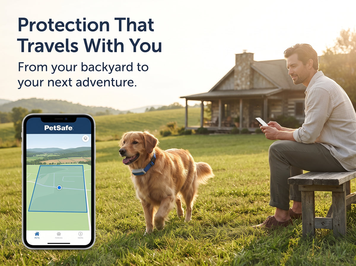 Guardian GPS + Tracking Dog Fence Collar