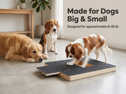 Dog Nail Scratch Board with Treat Compartment