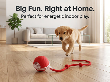 Interactive rolling Pet Ball