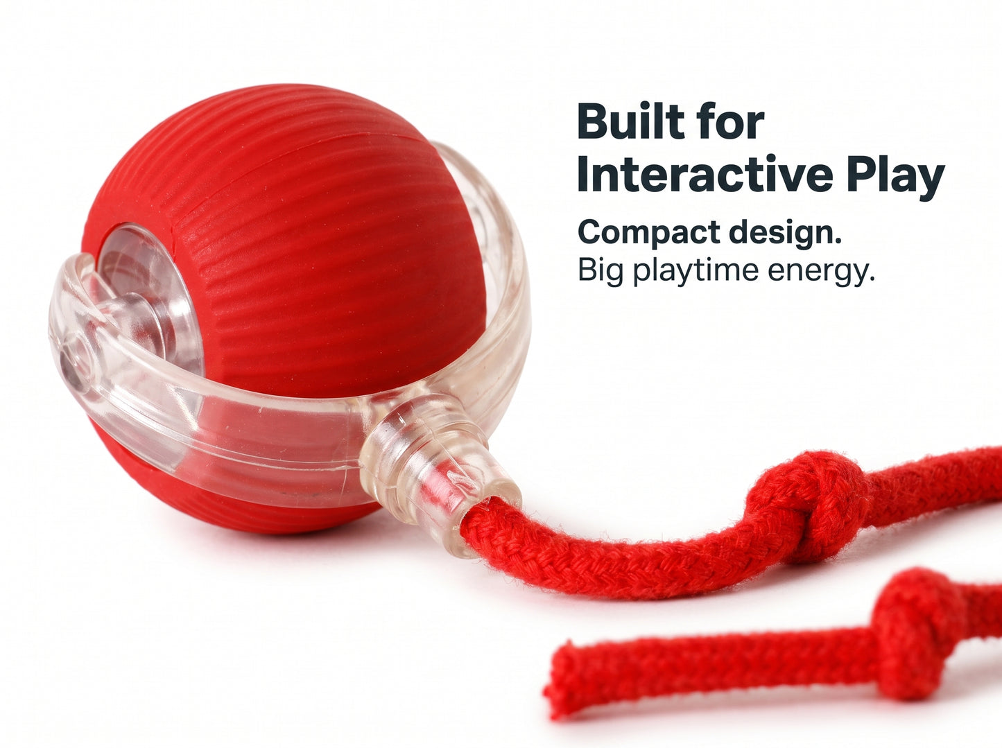 Interactive rolling Pet Ball