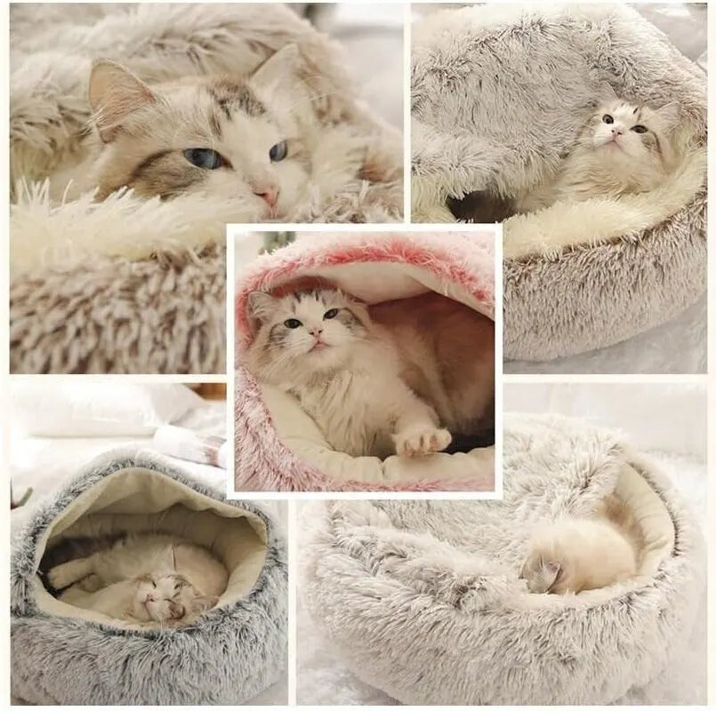 w36O34erCzMatKk.jpg